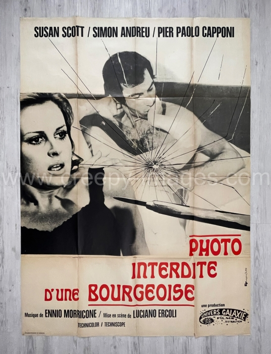 Frauen bis zum Wahnsinn gequält / Le foto proibite di una signora per bene / The Forbidden Photos of a Lady Above Suspicion  – Französisches Grande / One-Panel